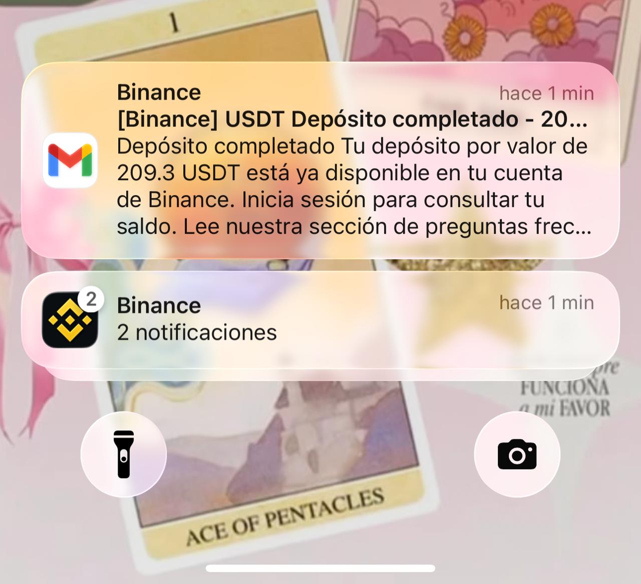 Evidencia de pago 13